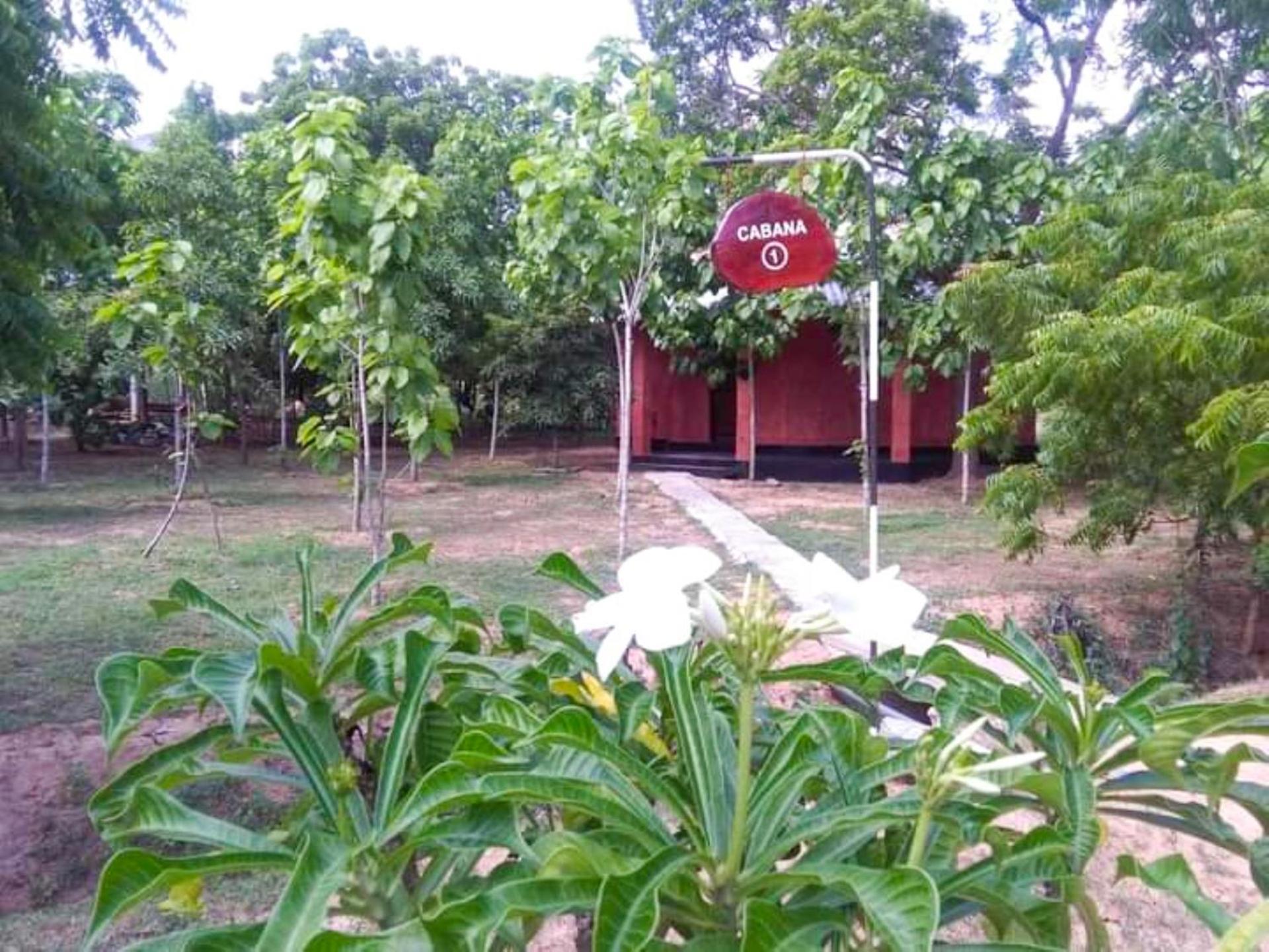 מלון טיסמהרמה Lavish Eco Jungle מראה חיצוני תמונה