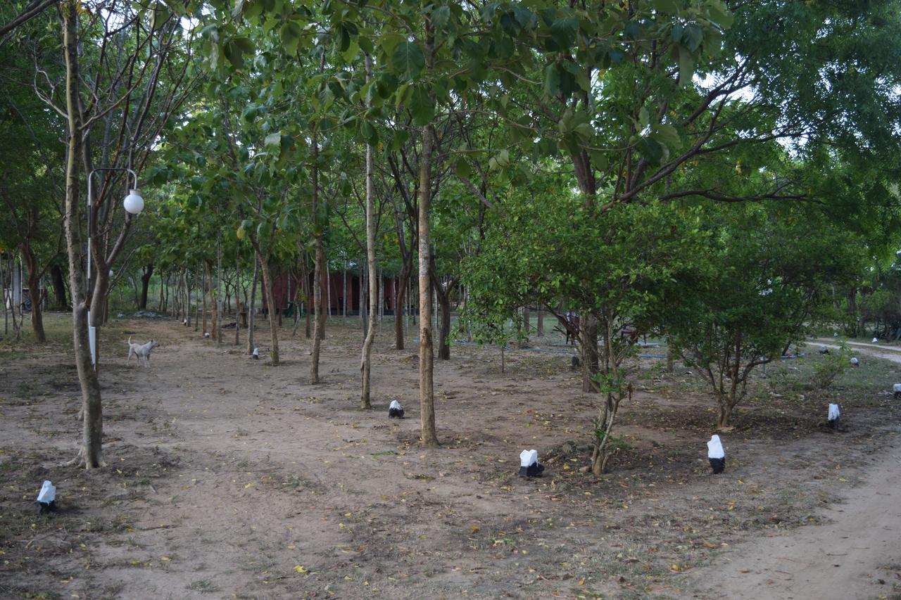 מלון טיסמהרמה Lavish Eco Jungle מראה חיצוני תמונה
