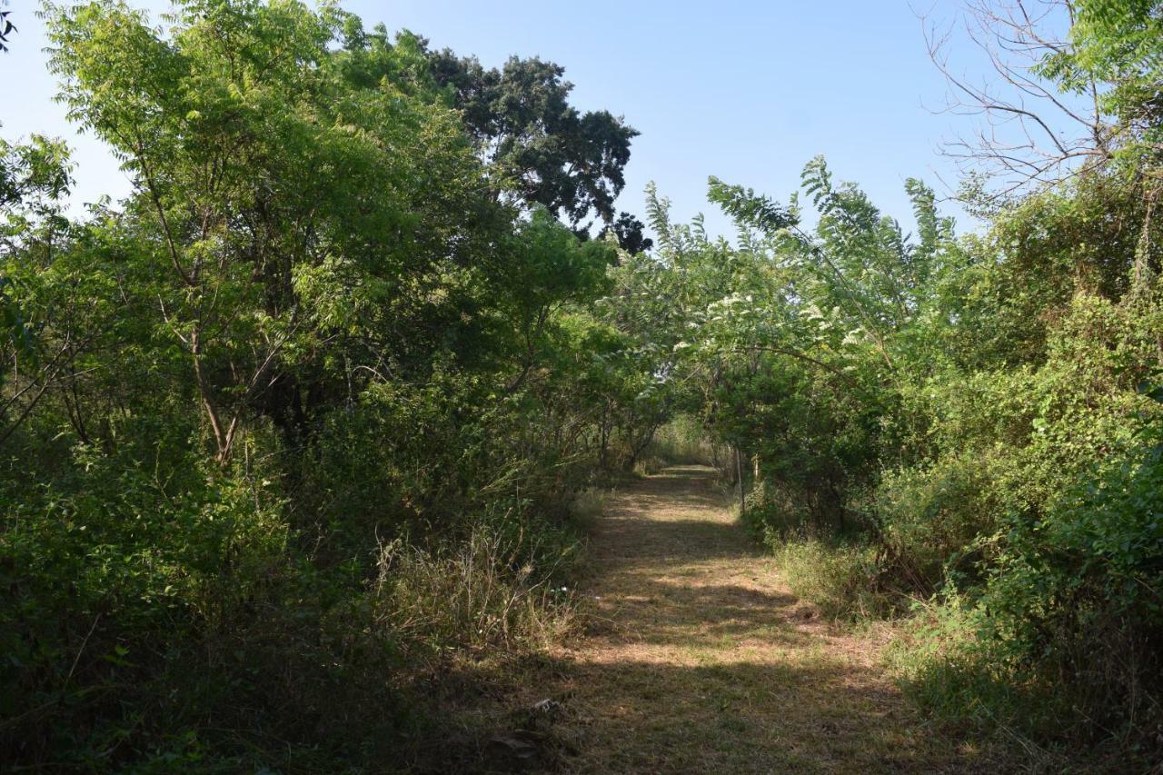 מלון טיסמהרמה Lavish Eco Jungle מראה חיצוני תמונה