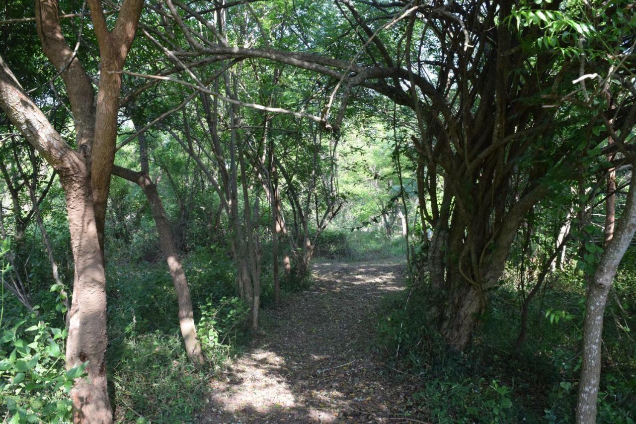 מלון טיסמהרמה Lavish Eco Jungle מראה חיצוני תמונה