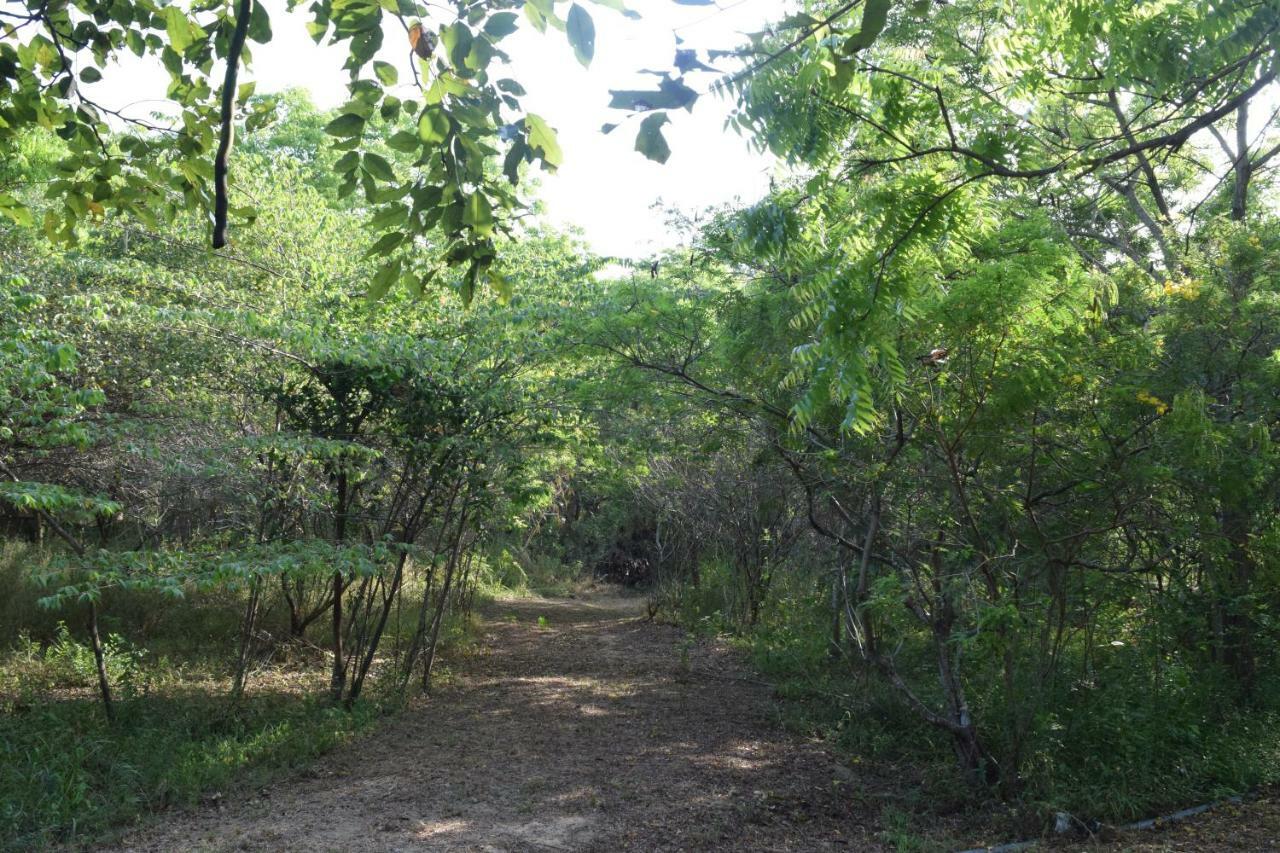 מלון טיסמהרמה Lavish Eco Jungle מראה חיצוני תמונה
