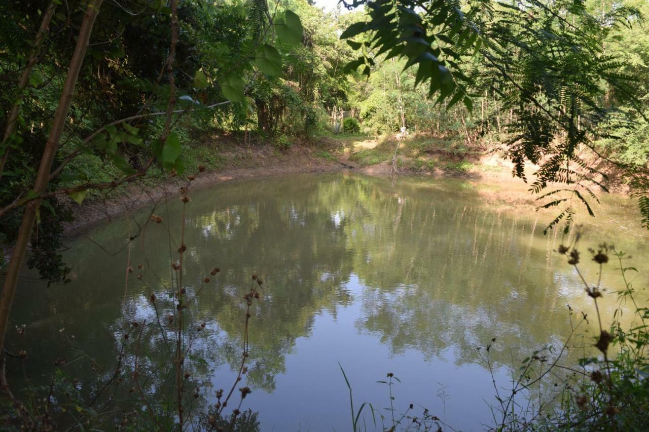 מלון טיסמהרמה Lavish Eco Jungle מראה חיצוני תמונה