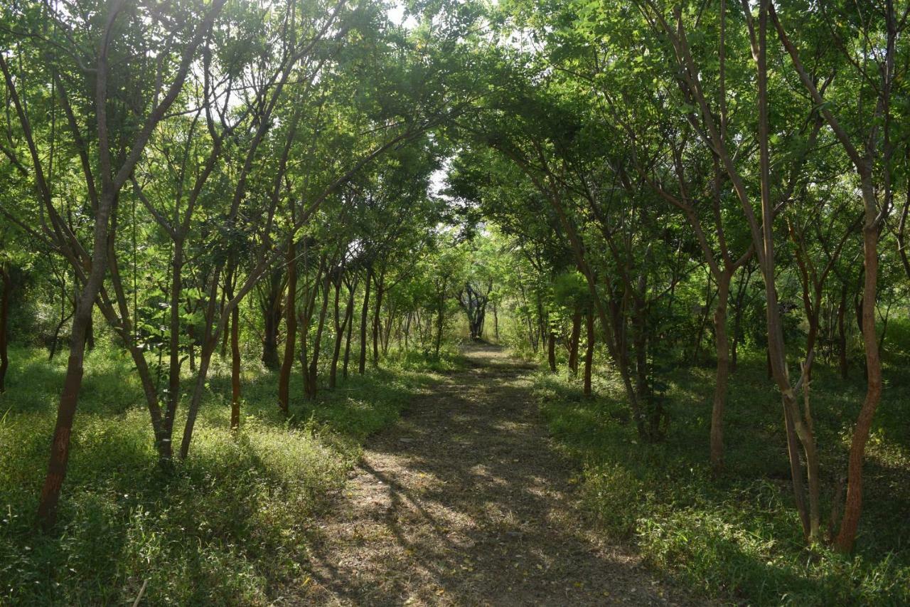 מלון טיסמהרמה Lavish Eco Jungle מראה חיצוני תמונה