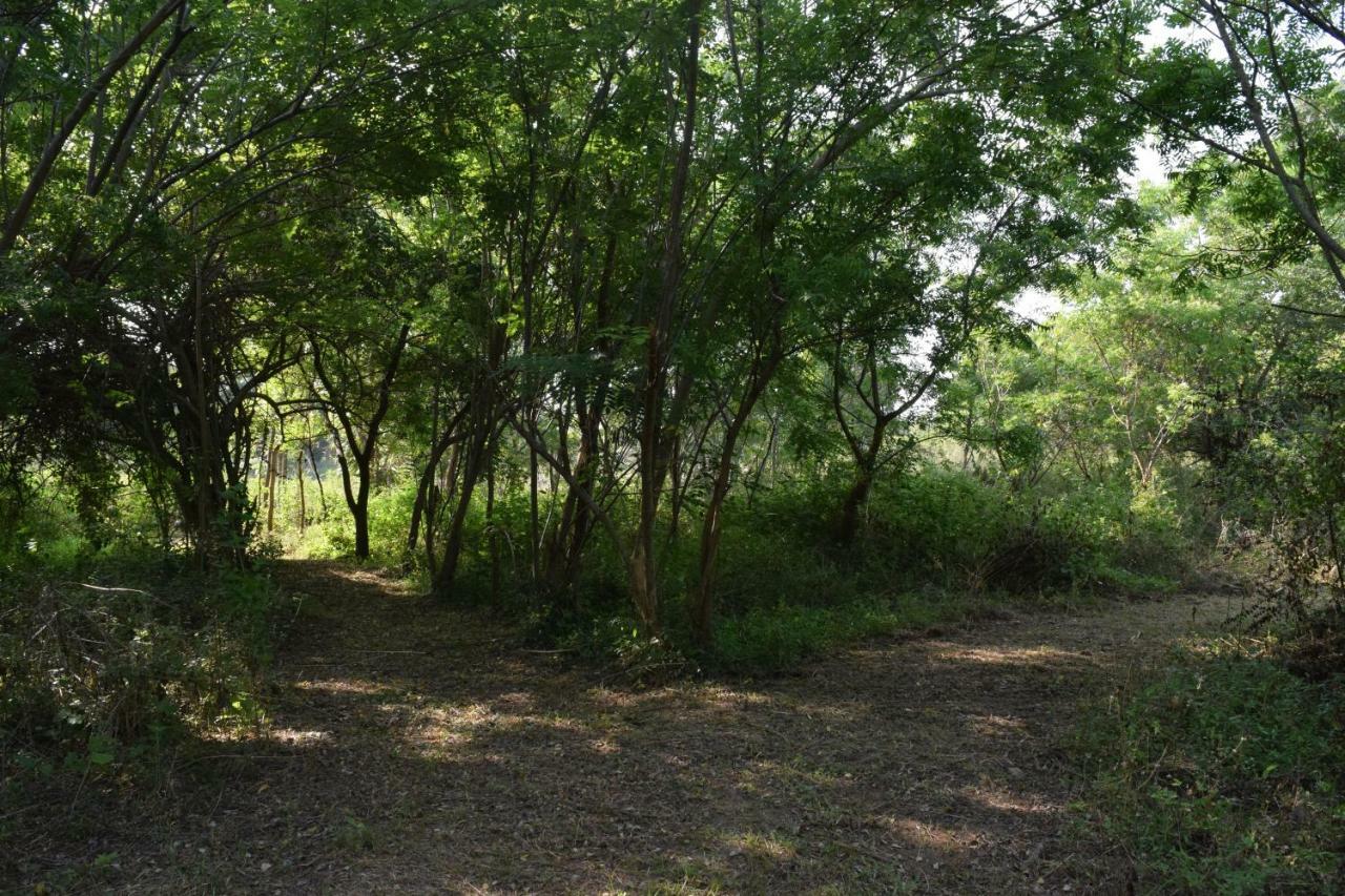 מלון טיסמהרמה Lavish Eco Jungle מראה חיצוני תמונה